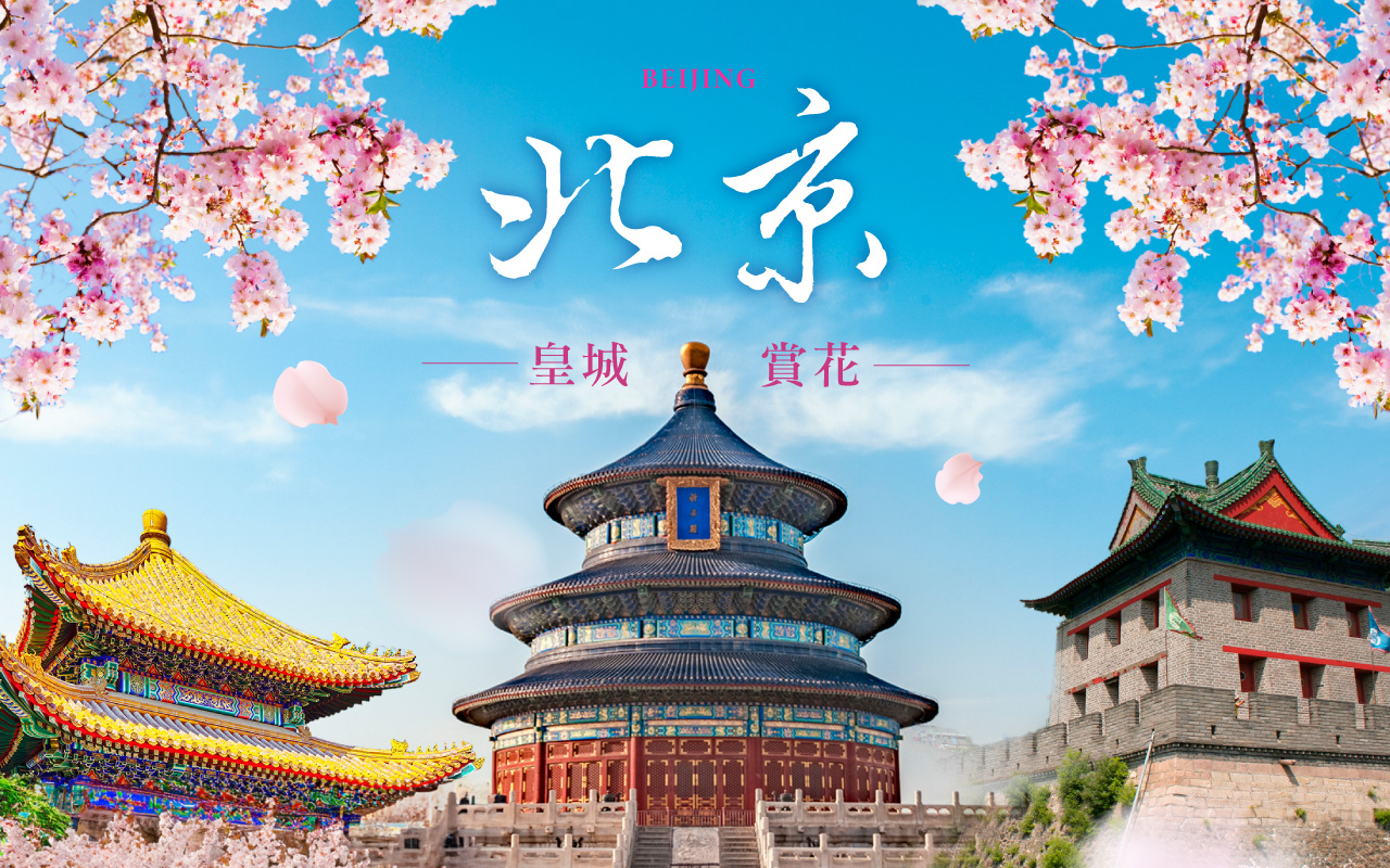 北京皇城賞花６日